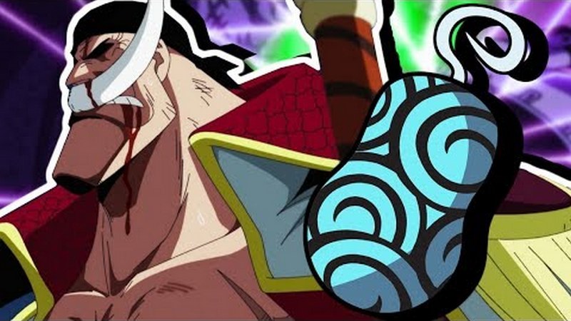 SBS One Piece: Gura Gura no Mi; Paramecia or Logia? Here's Oda's Answer!