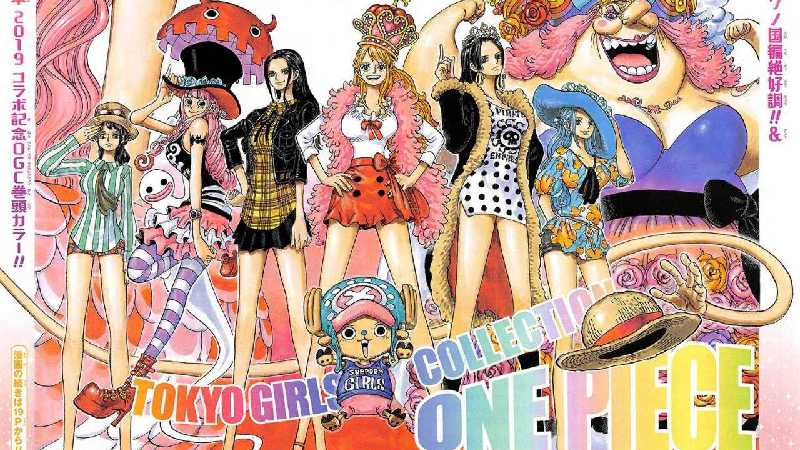 ONE PIECE novel HEROINES [Colorful] Will Be Released, With the