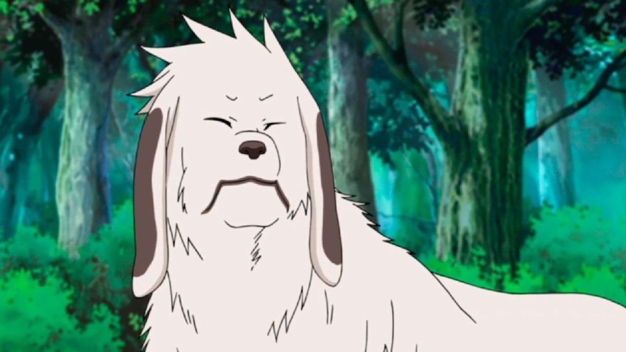 Daftar Karakter Naruto Lengkap Daftar Karakter Naruto Lengkap