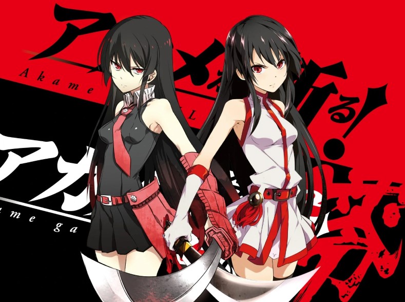 15 Unknown Facts About Akame Ga Kill